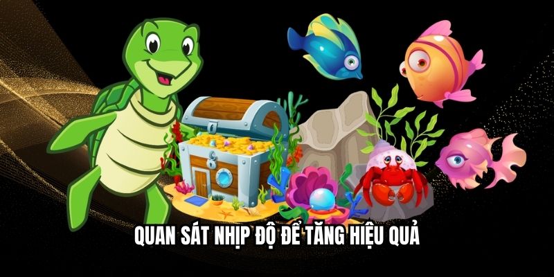 Quan sát nhịp độ để tăng hiệu quả